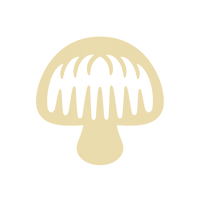 Lion’s Mane